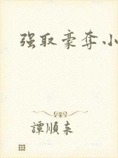 强取豪夺小说