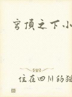 穹顶之下小说封面