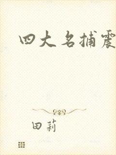 四大名捕震关东