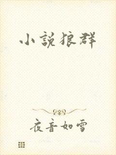 小说狼群
