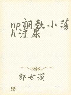 np调教小荡货h灌尿封面