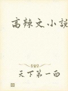 高辣文小说