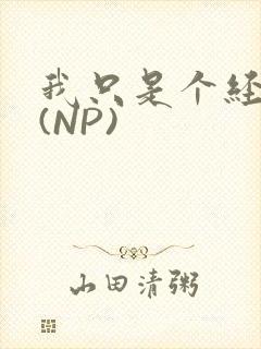 我只是个经纪人(NP)