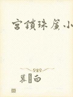 宫锁珠帘小说封面