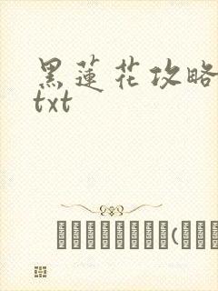 黑莲花攻略手册txt封面