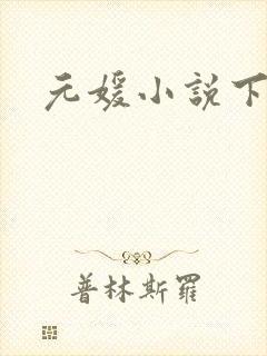 元媛小说下载