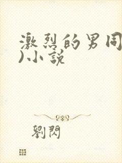 激烈的男同(h)小说