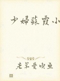 少妇苏霞小说