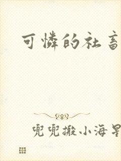 可怜的社畜小说