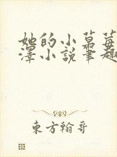 她的小草莓魏承泽小说笔趣阁