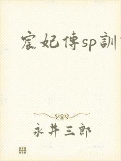 宸妃传sp训诫
