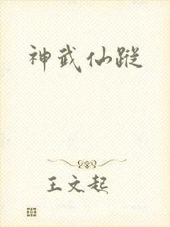 神武仙踪封面