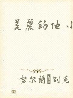 美丽的他 小说封面