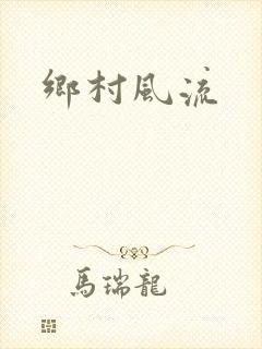 乡村风流封面