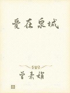 爱在泉城封面
