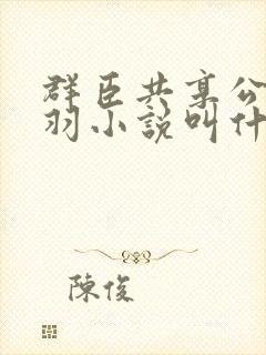 群臣共享公主银羽小说叫什么
