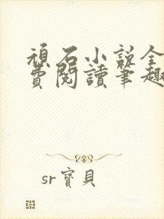 顽石小说全文免费阅读笔趣阁封面