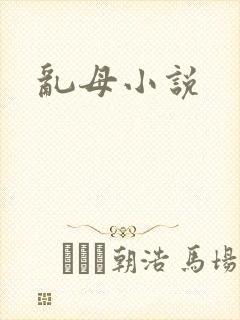 乱母小说封面