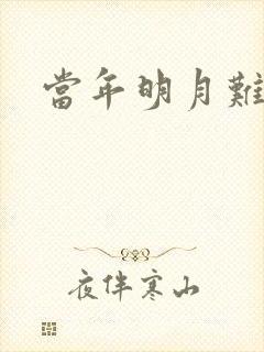 当年明月难寻封面
