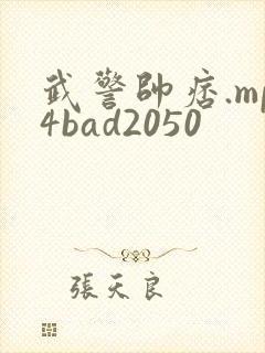 武警帅痞.mp4bad2050