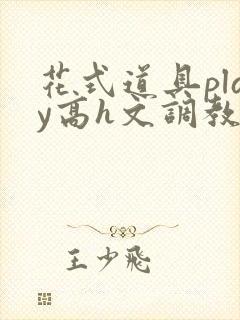花式道具play高h文调教