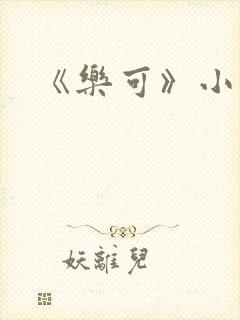 《乐可》小说封面