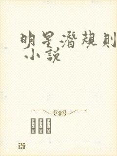 明星潜规则之皇 小说