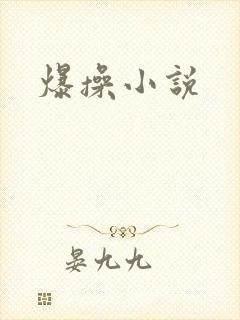 爆操小说