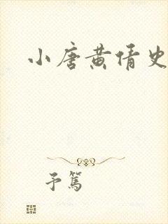 小唐黄倩史