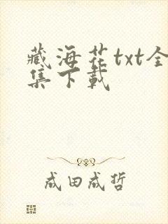 藏海花txt全集下载封面