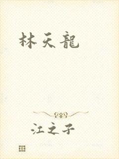 林天龙封面
