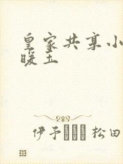 皇家共享小公主暖玉封面