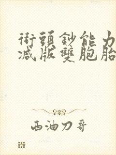 街头钞能力无删减版双胞胎封面