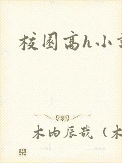 校园高h小说