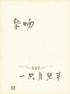 挚吻