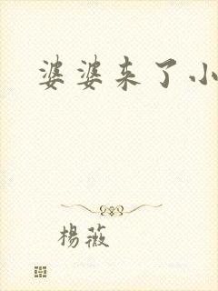 婆婆来了小说封面