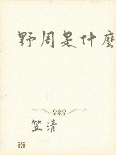 书籍封面
