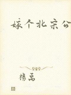 嫁个北宋公务员封面