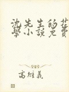 沈先生的花式教学小说免费封面