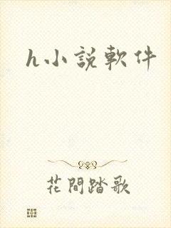 h小说软件
