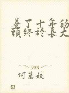养了十年的小丫头终于长大了