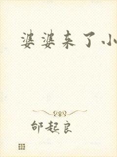 婆婆来了小说封面