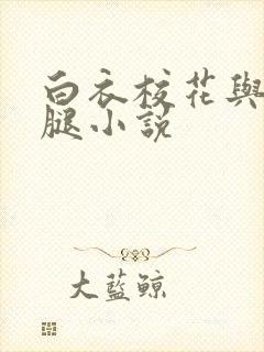 白衣校花与大长腿小说