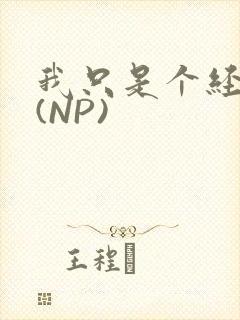 我只是个经纪人(NP)