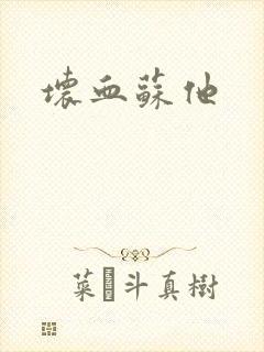 坏血苏他封面