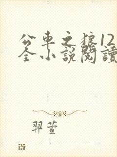 公车之狼12集全小说阅读
