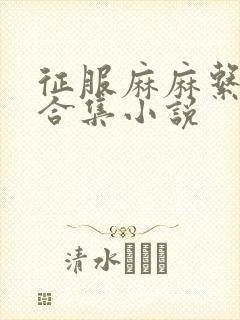 征服麻麻系列大合集小说