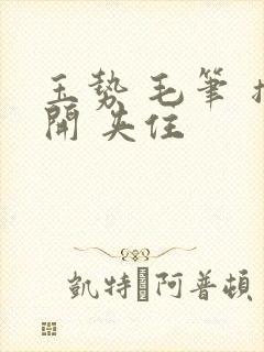 玉势 毛笔 撑开 夹住封面