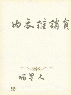 内衣推销员封面
