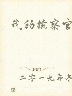 我的检察官先生
